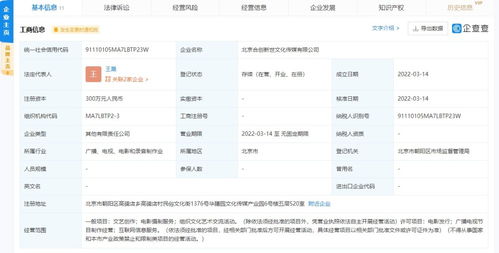 文化信息咨詢(xún) 連接過(guò)去與未來(lái)的橋梁